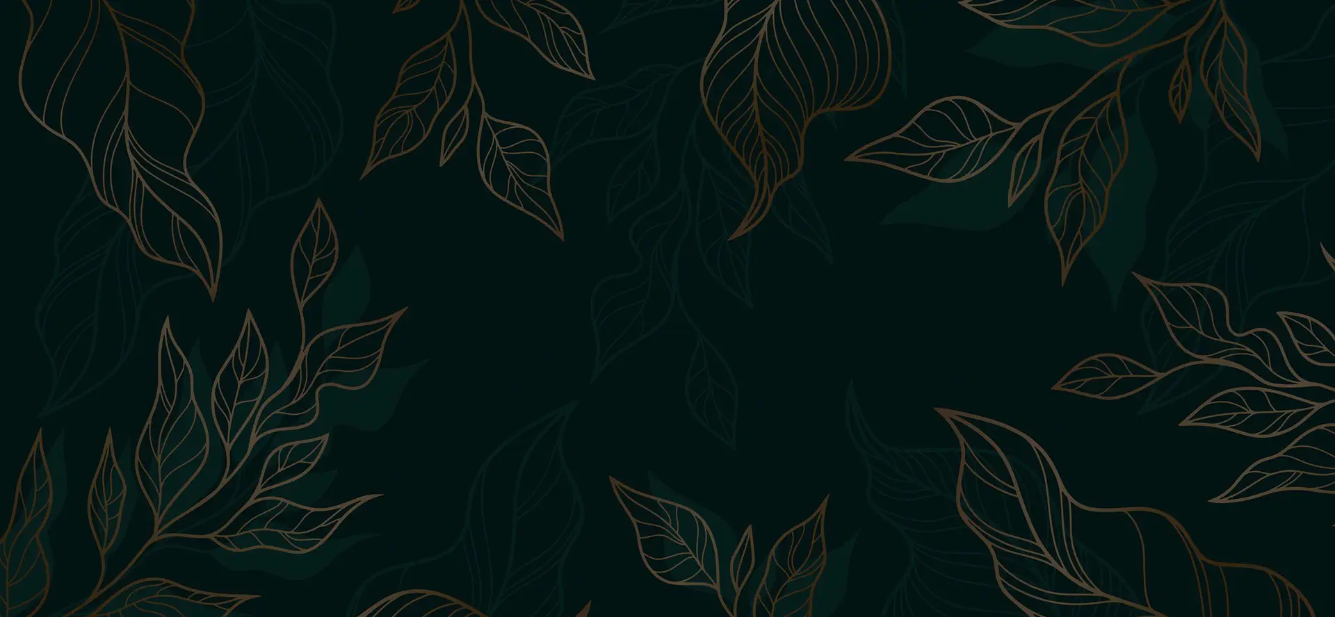 Image Slider