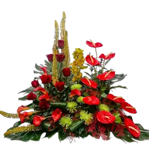 Centro-funerario-rojo-y-verde1